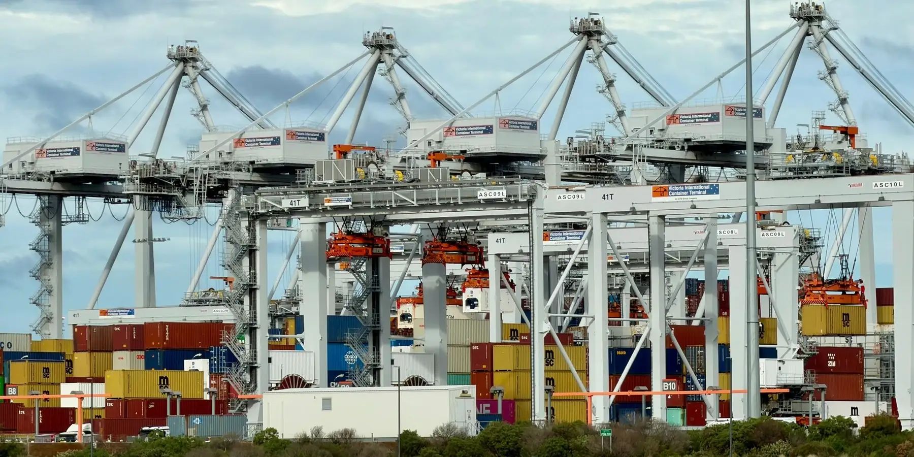 Cranes of a container terminal over stacked containers